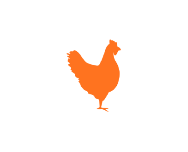 Untitled-1_17-1.png